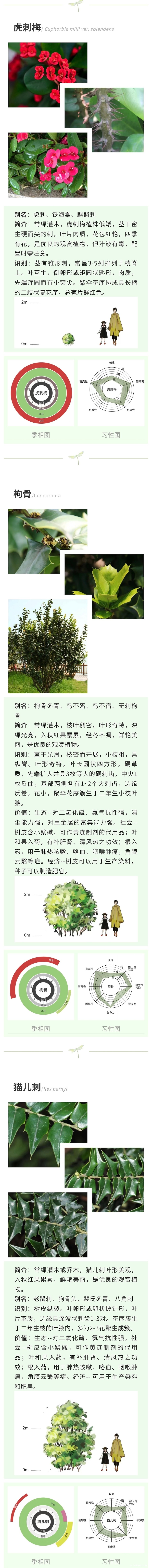 D09C6AAE7EBED92B98B9EA28E0D6A9C9.jpg