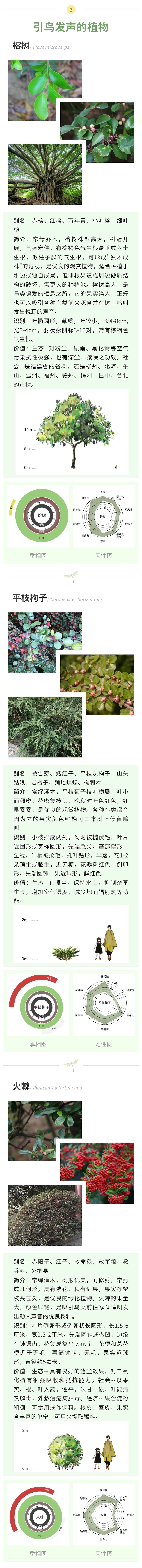 人体五感与身边的绿化植物——听觉篇-3.jpg